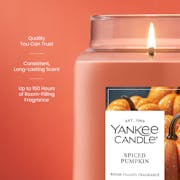 Spiced Pumpkin